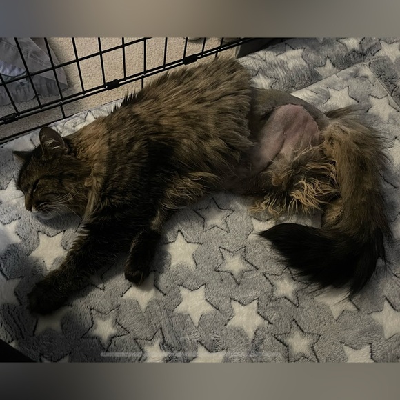 Invisalign Welcome Box w/Tray Case & Pack of Cleaning Crystals - Picture 6 of 10